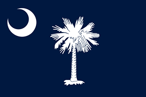 State flag for South Carolina